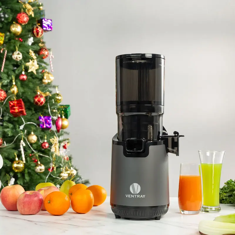 900 Slow Masticating Cold Press Juicer 1