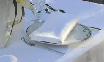 Beauregard Premium White Cotton Napkins – Set Of 4 1