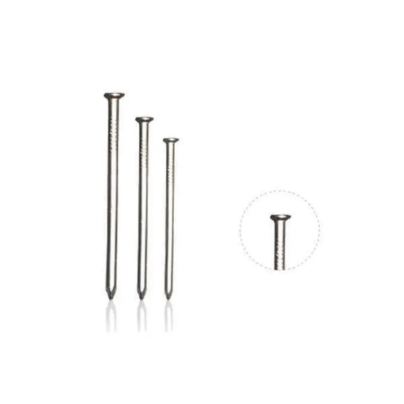 Bil Bright Flat-Head Common Nails – 100Mm, 1Kg Pack 1