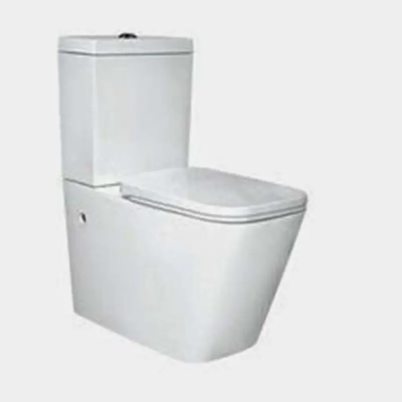 Inox Omega S-Trap Toilet Suite – Premium White Ceramic, 250 Mm Rough-In 1