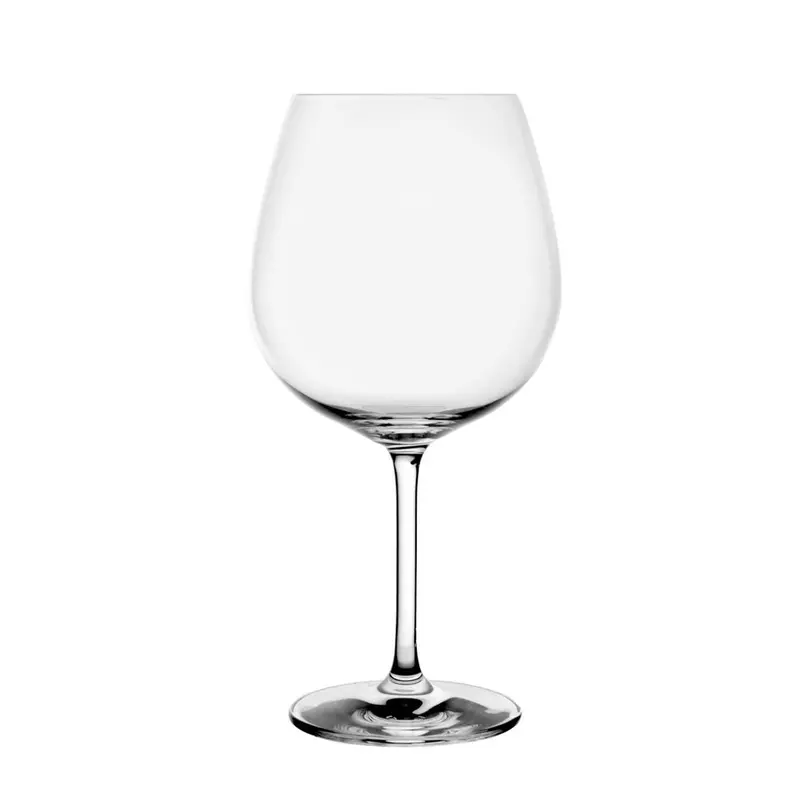 Ivento Schott Burgundy Red Wine Glass 1