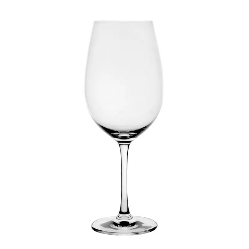 Ivento Schott Goblet-Style Wine Glass 1
