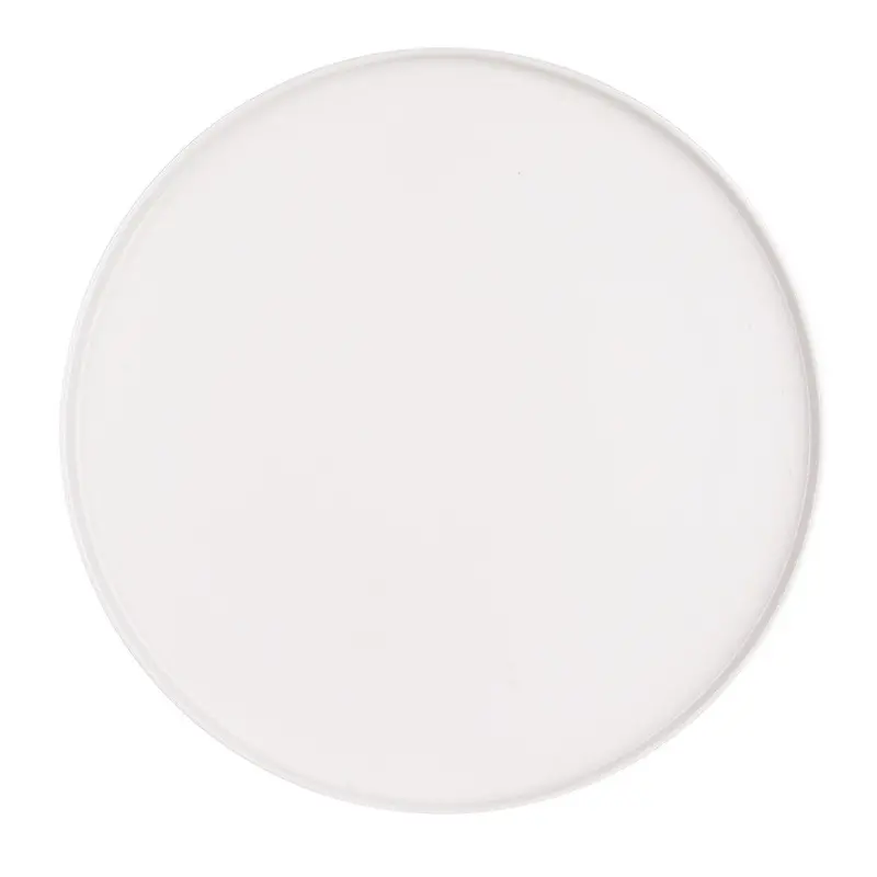 Large Rimmed Porcelain Flat Plate – Modern Round Serving Dish 1
