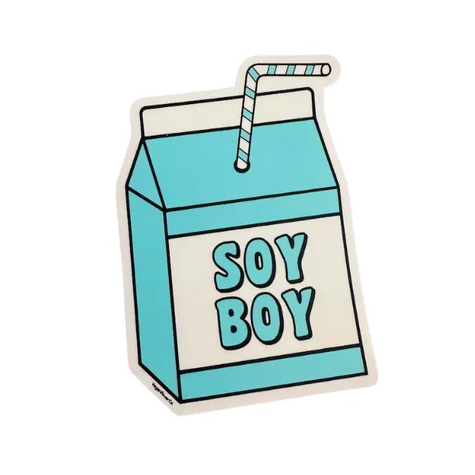 Vegan Power Co 'Soy Boy' Milk Carton Magnet – Satirical Vegan Kitchen Accessory 1